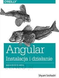 Angular instalacja i działanie - Shyam Seshadri