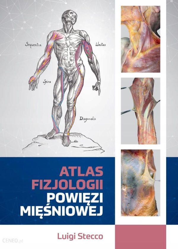 Atlas fizjologii powięzi mięśniowej