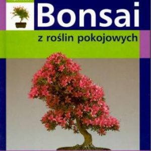 Bonsai z roślin pokojowych