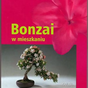 Bonzai w mieszkaniu