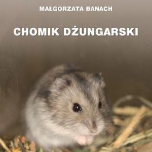 Chomik dżungarski - Małgorzta Banach