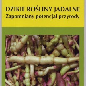 Dzikie rośliny jadalne. zapomniany potencjał przyrody