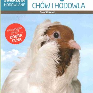 Gołębie chów i hodowla zwierzęta hodowlane