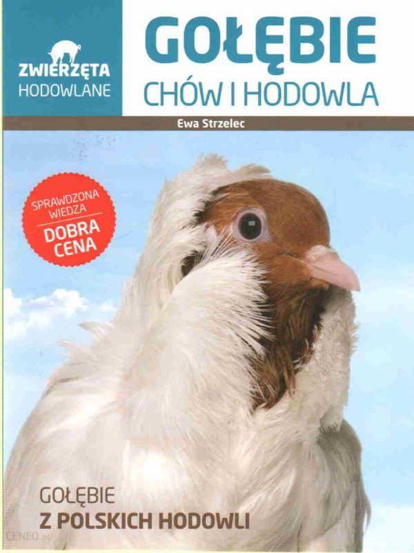 Gołębie chów i hodowla zwierzęta hodowlane