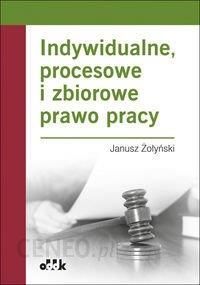 Indywidualne procesowe i zbiorowe prawo pracy - Janusz Żołyński