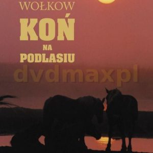 Koń na Podlasiu - Wiktor Wołkow