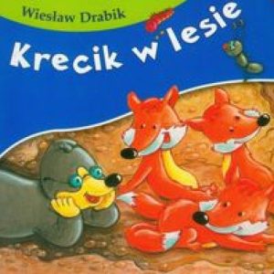 KRECIK W LESIE KARTON/SKRzAT