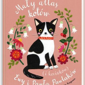 Mały atlas kotów (i kociaków) Ewy i Pawła Pawlaków