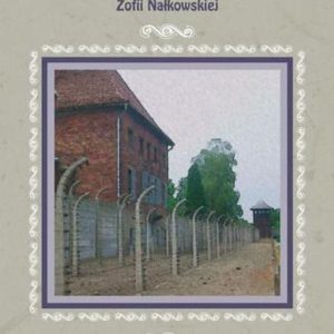 Medaliony zofii Nałkowskiej (E-book)