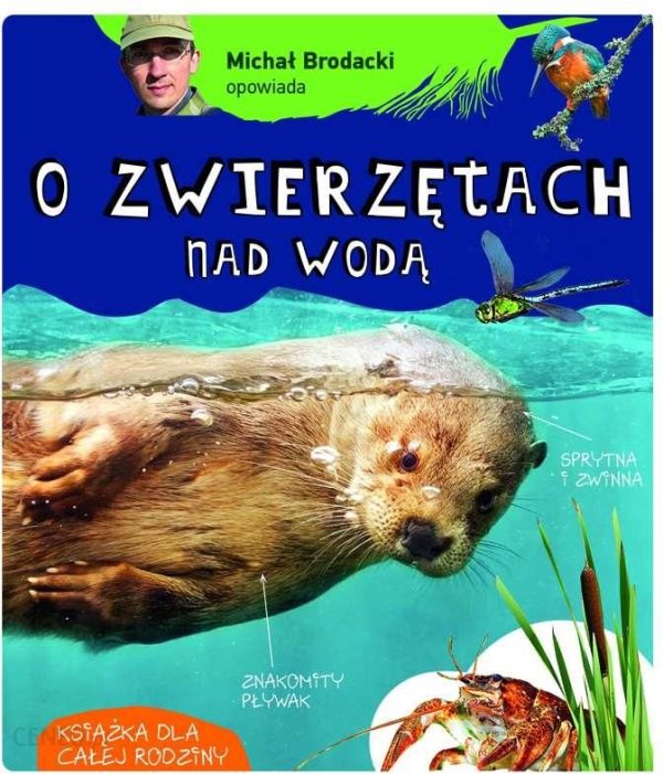 MICHAŁ BRODACKI OPOWIADA O ZWIERZĘTACH NAD WODĄ