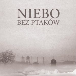 Niebo bez ptaków