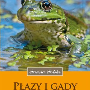 Płazy i gady