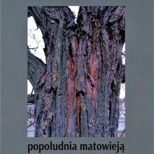 Popołudnia matowieją