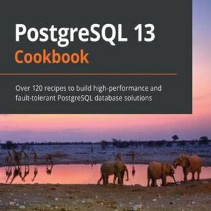 PostgreSQL 13 Cookbook (ebook)