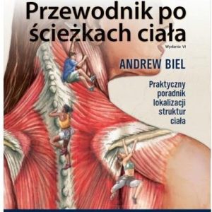 Przewodnik Po Ścieżkach Ciała. Anatomia Palpacyjna