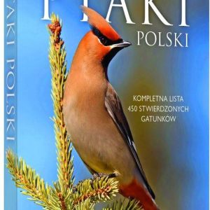 Ptaki Polski - Dominik Marchowski (Twarda)