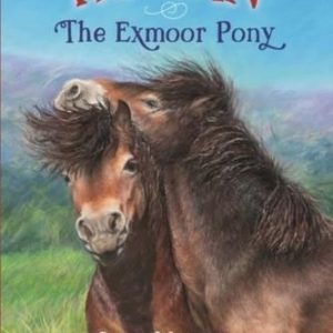 Rowan The Exmoor Pony Westcott