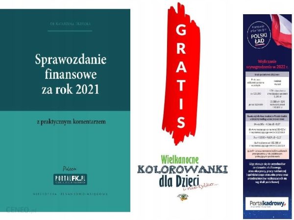 Sprawozdanie finansowe za 2021 z komentarzem