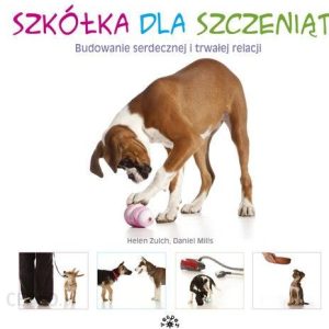 Szkółka dla szczeniąt budowanie serdecznej i trwałej relacji