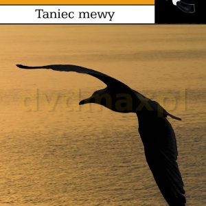 Taniec mewy - Andrea Camilleri