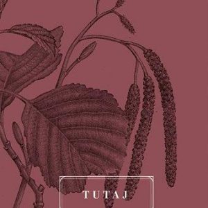 Tutaj