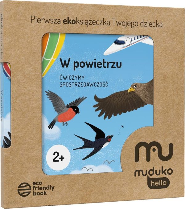 W powietrzu