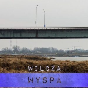 Wilcza wyspa