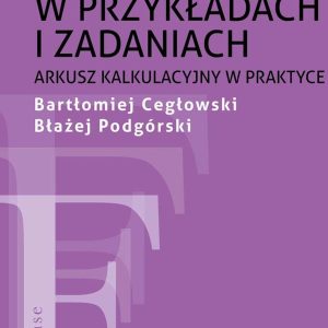 Wprowadzenie do finansów w przykładach i zadaniach. Arkusz kalkulacyjny w praktyce