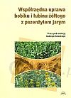 Współrzędna uprawa bobiku i łubinu żółtego z pszenżytem jarym